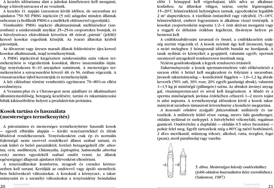 Vemhesítés: PMSG injekció alkalmazásának mellőzésekor (szezonban) a szinkronizált anyákat 25 25-ös csoportokra bontjuk, és a hüvelyszivacs eltávolítását követően 48 órával párnás (jelölő) kereső