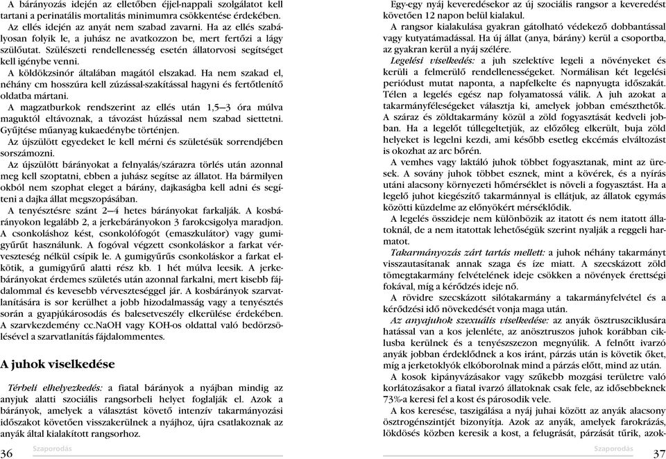 A köldökzsinór általában magától elszakad. Ha nem szakad el, néhány cm hosszúra kell zúzással-szakítással hagyni és fertőtlenítő oldatba mártani.
