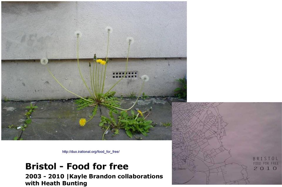 Food for free 2003-2010 Kayle