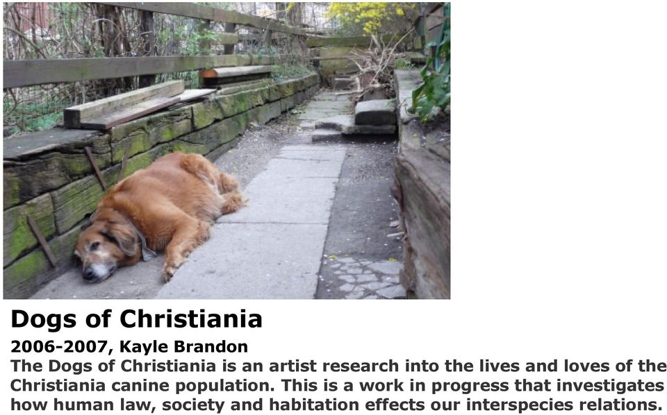 Christiania canine population.