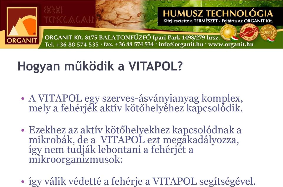kapcsolódik.