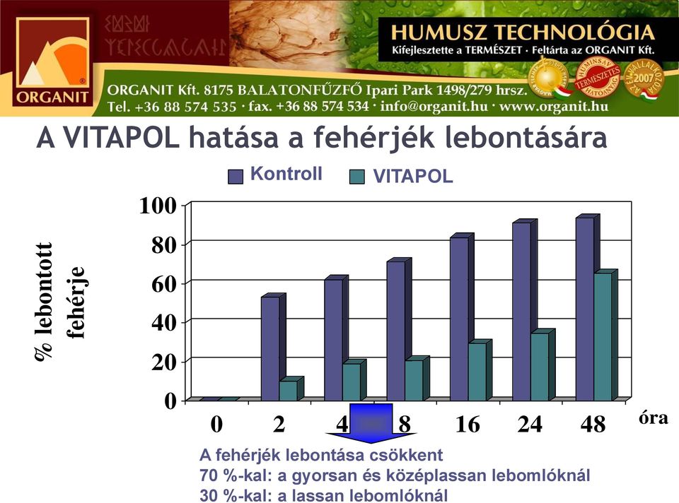2 4 8 16 24 48 óra A fehérjék lebontása csökkent 70 %-kal: