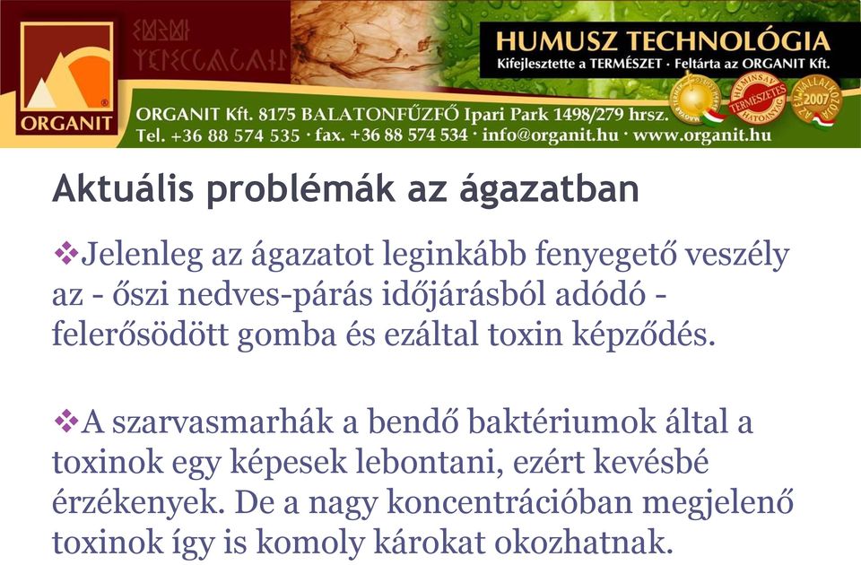 A szarvasmarhák a bendő baktériumok által a toxinok egy képesek lebontani, ezért