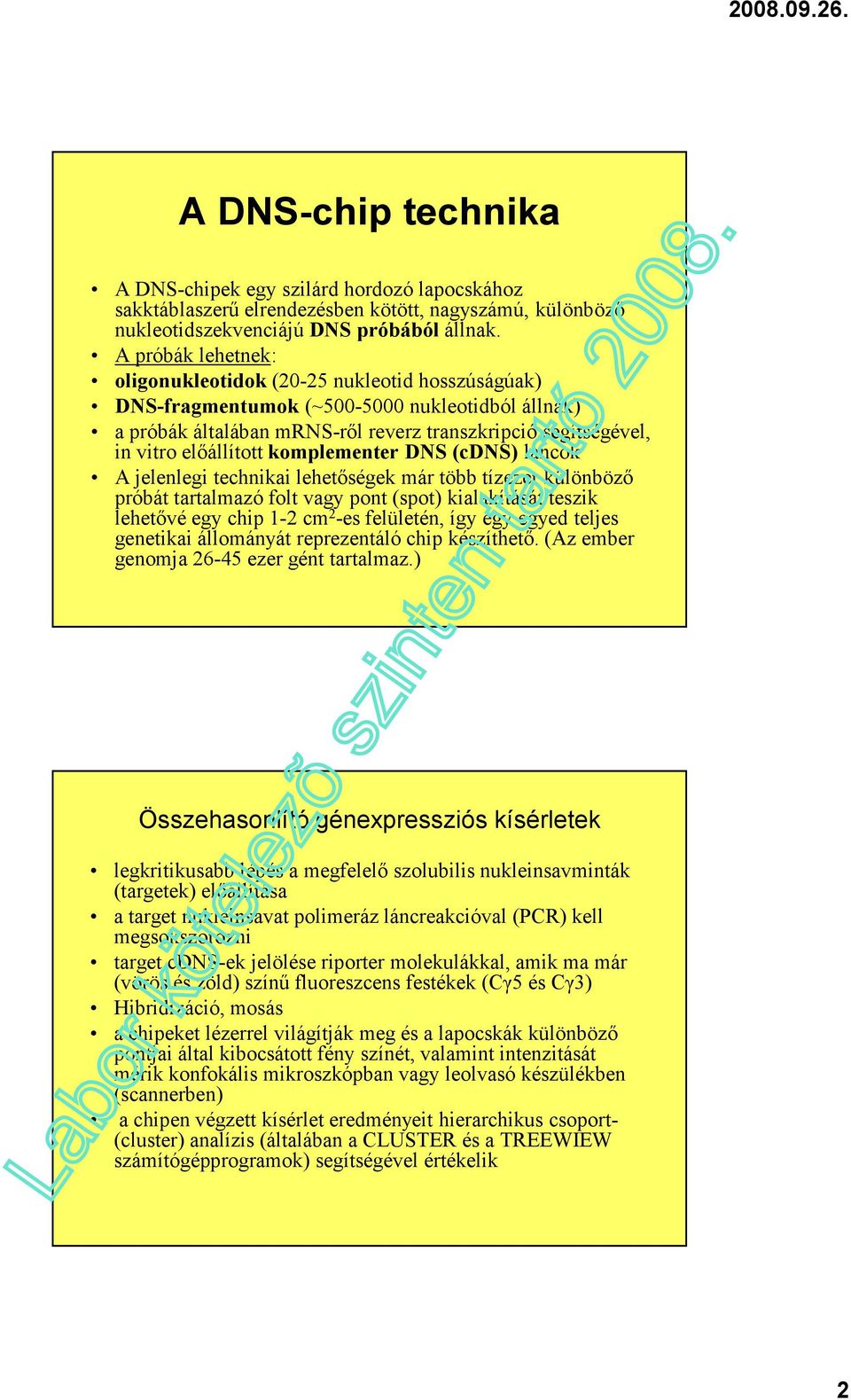 komplementer D S (cd S) láncok A jelenlegi technikai lehetőségek már több tízezer különböző próbát tartalmazó folt vagy pont (spot) kialakítását teszik lehetővé egy chip 1-2 cm 2 -es felületén, így