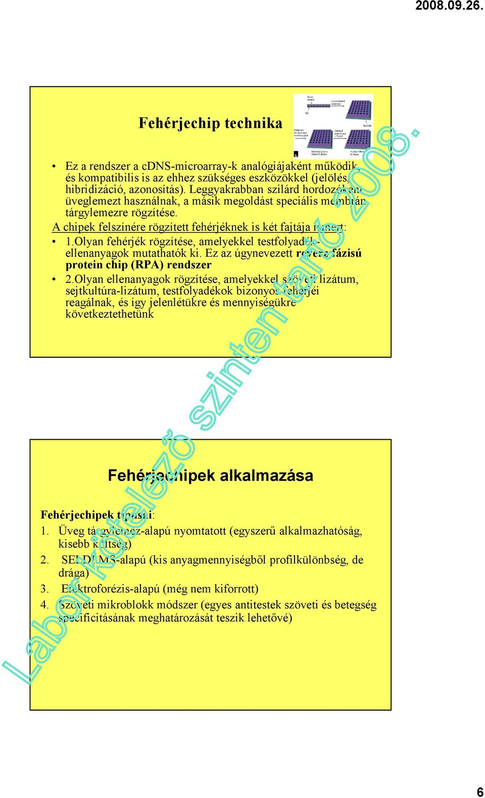 Olyan fehérjék rögzítése, amelyekkel testfolyadékellenanyagok mutathatók ki. Ez az úgynevezett reverz fázisú protein chip (RPA) rendszer 2.