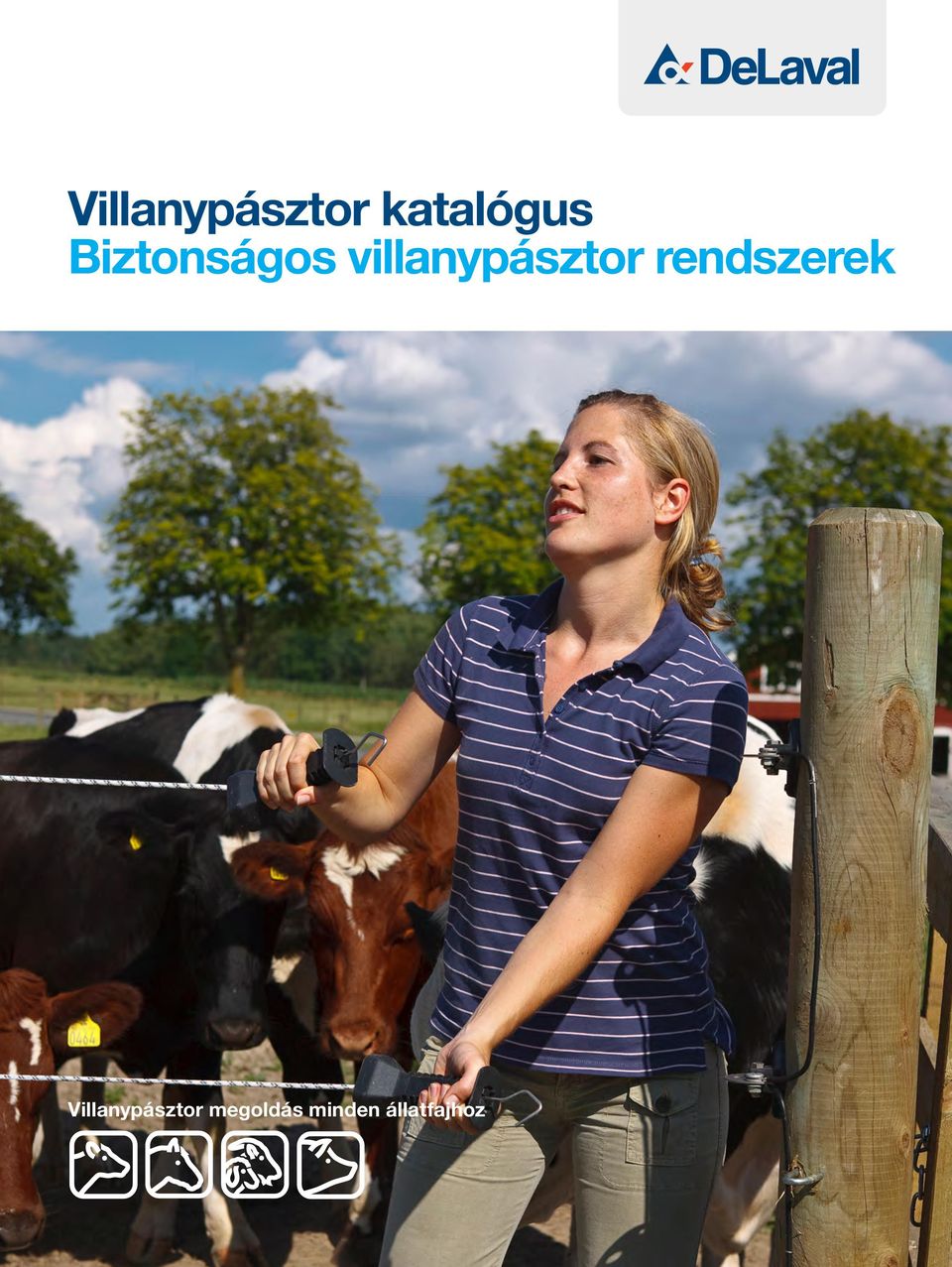 rendszerek Villanypásztor