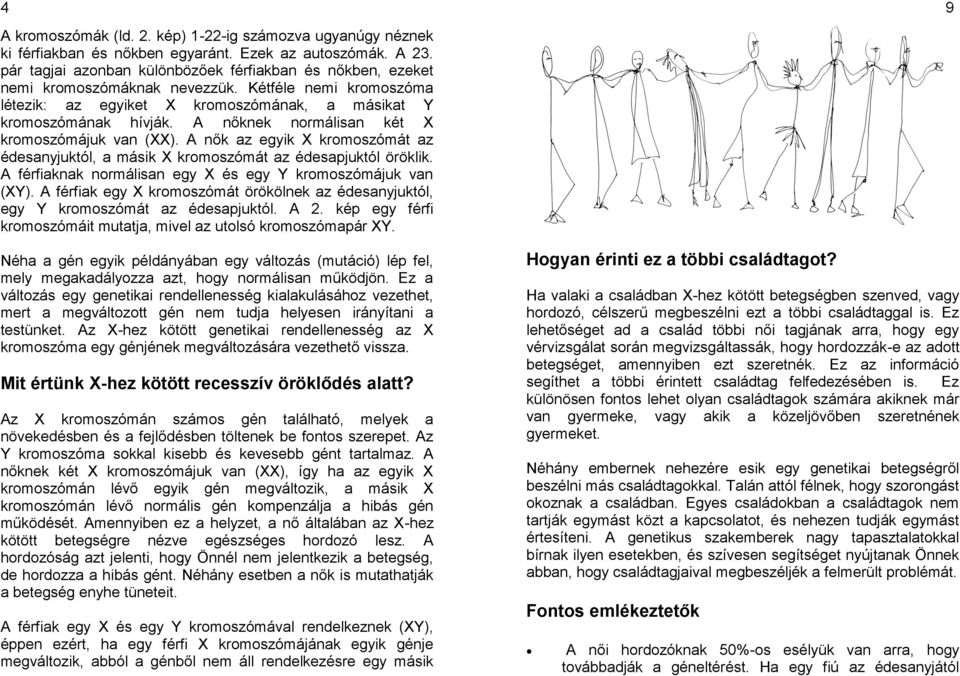 A nőknek normálisan két X kromoszómájuk van (XX). A nők az egyik X kromoszómát az édesanyjuktól, a másik X kromoszómát az édesapjuktól öröklik.