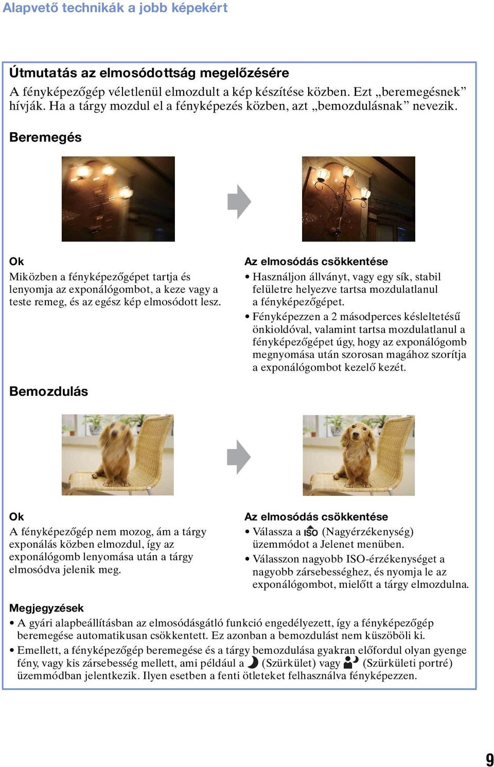 Beremegés Ok Miközben a fényképezőgépet tartja és lenyomja az exponálógombot, a keze vagy a teste remeg, és az egész kép elmosódott lesz.