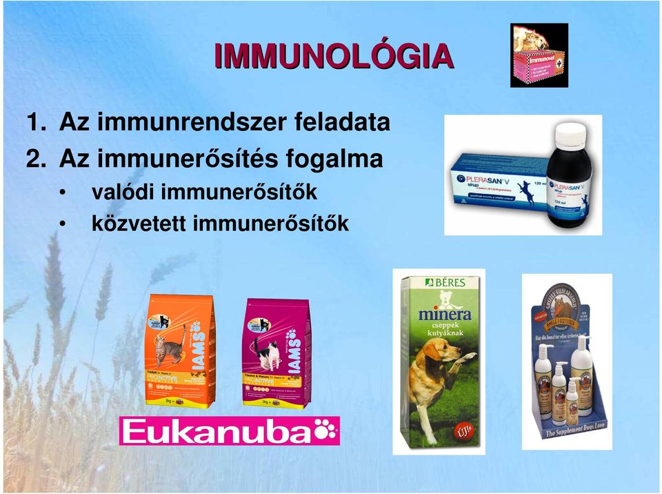 Az immunerısítés fogalma