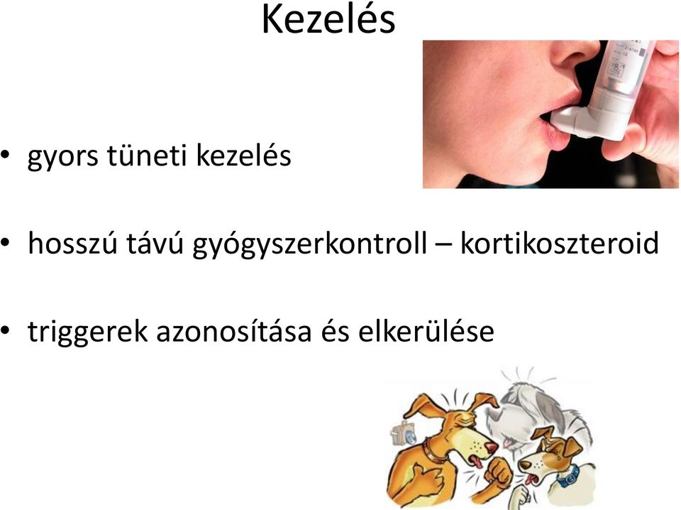 gyógyszerkontroll