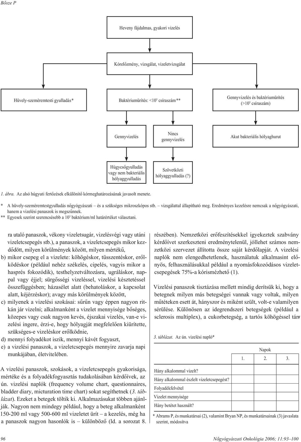 Az alsó húgyuti fertôzések elkülönítô kórmeghatározásának javasolt menete. * A hüvely-szeméremtestgyulladás nôgyógyászati és a szükséges mikroszkópos stb. vizsgálattal állapítható meg.