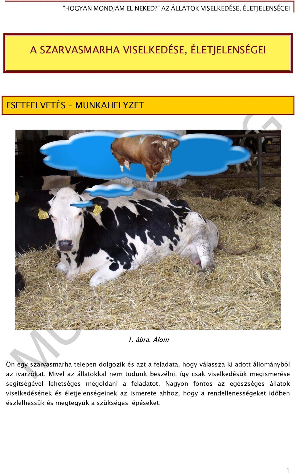 Mivel az állatokkal nem tudunk beszélni, így csak viselkedésük megismerése segítségével lehetséges megoldani a feladatot.