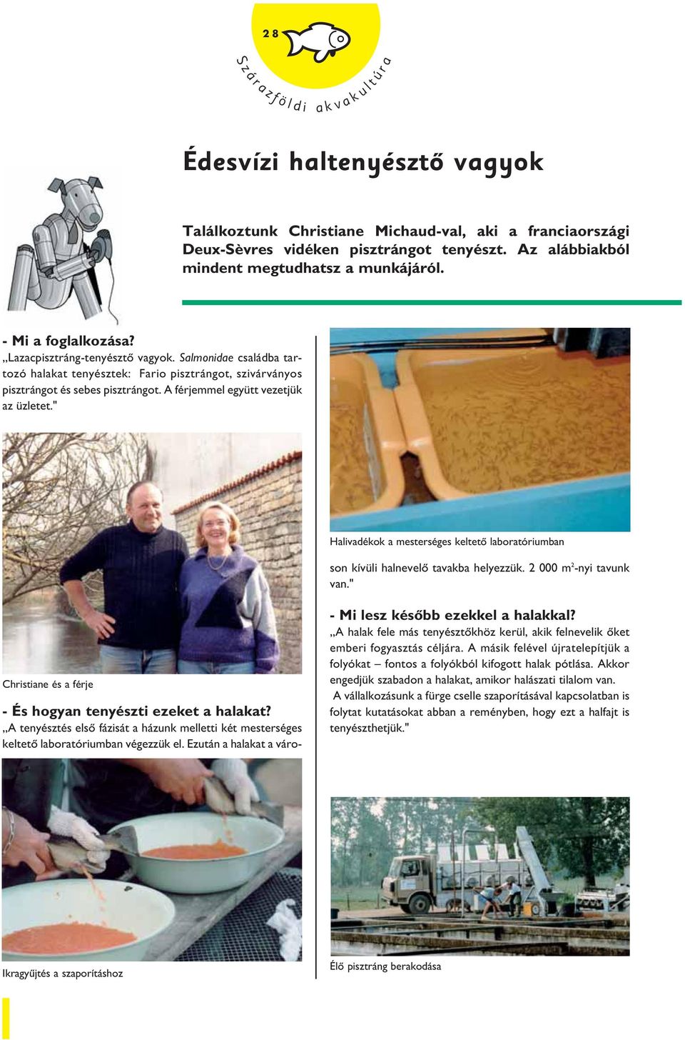 Salmonidae családba tartozó halakat tenyésztek: Fario pisztrángot, szivárványos pisztrángot és sebes pisztrángot. A férjemmel együtt vezetjük az üzletet.