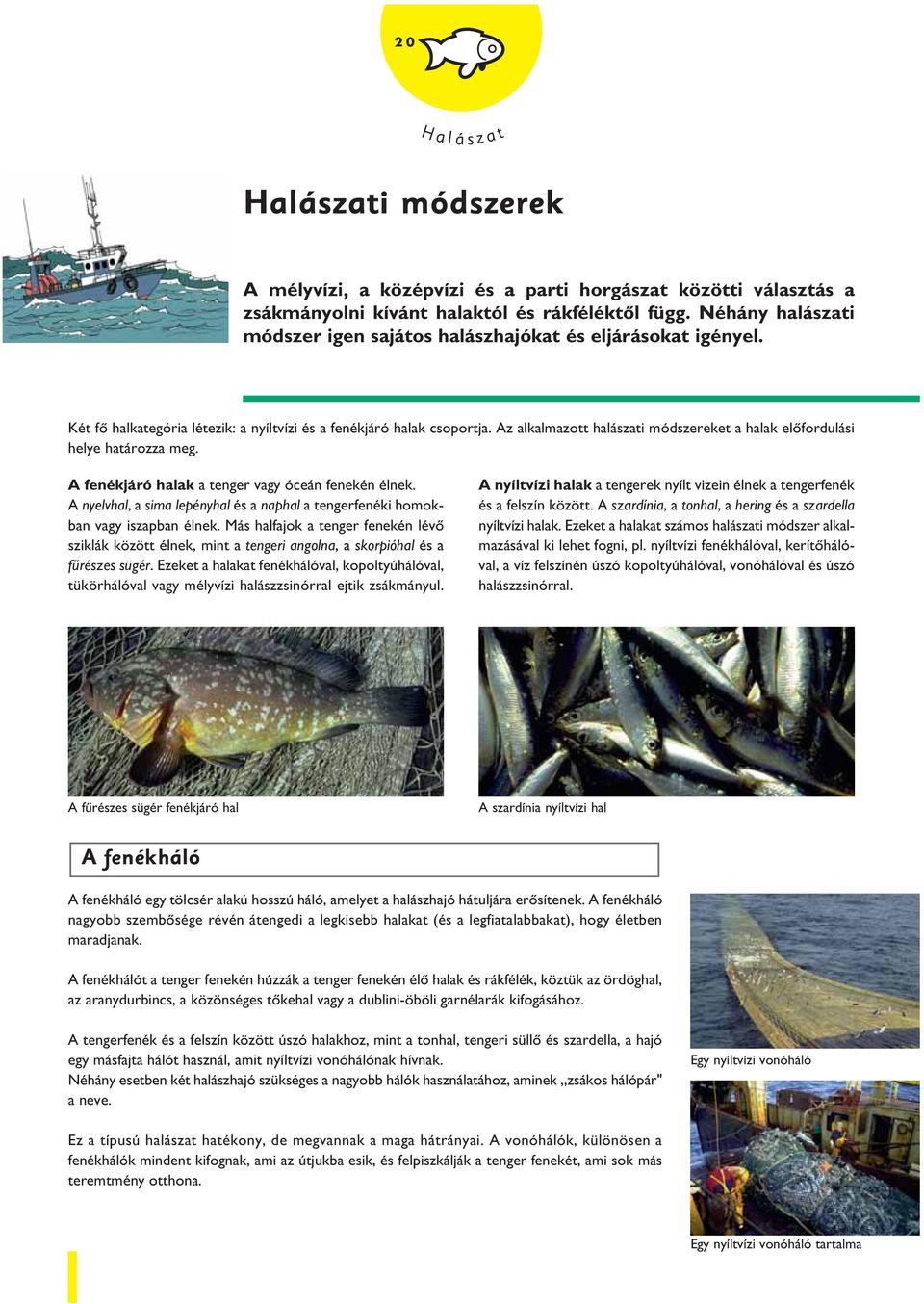 Az alkalmazott halászati módszereket a halak elôfordulási helye határozza meg. A fenékjáró halak a tenger vagy óceán fenekén élnek.