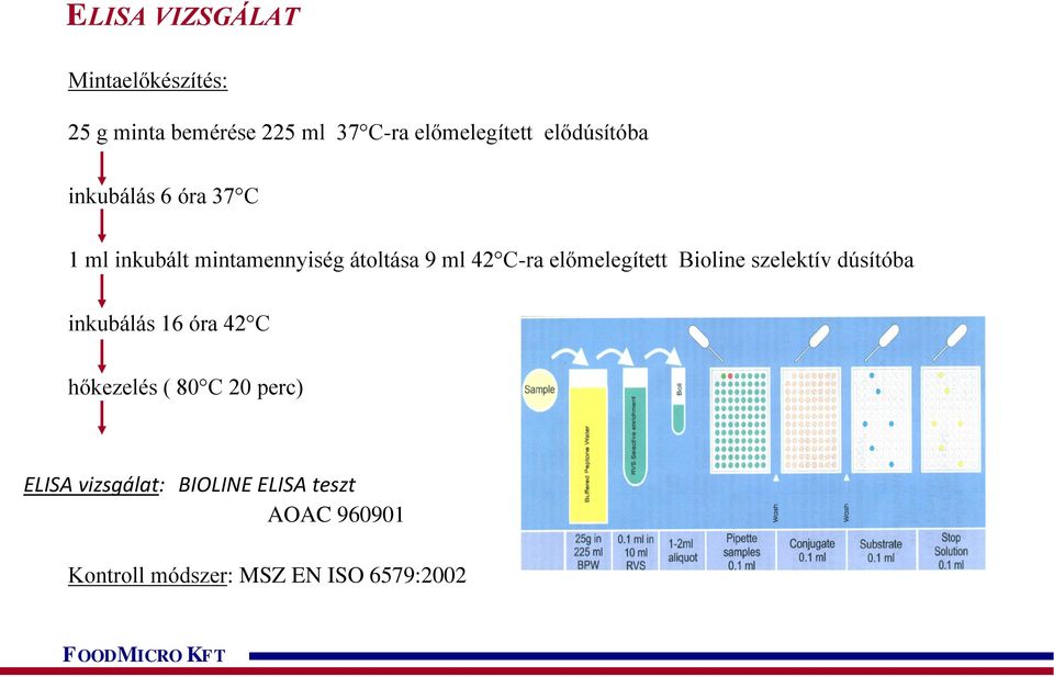 előmelegített Bioline szelektív dúsítóba inkubálás 16 óra 42 C hőkezelés ( 80 C 20 perc)