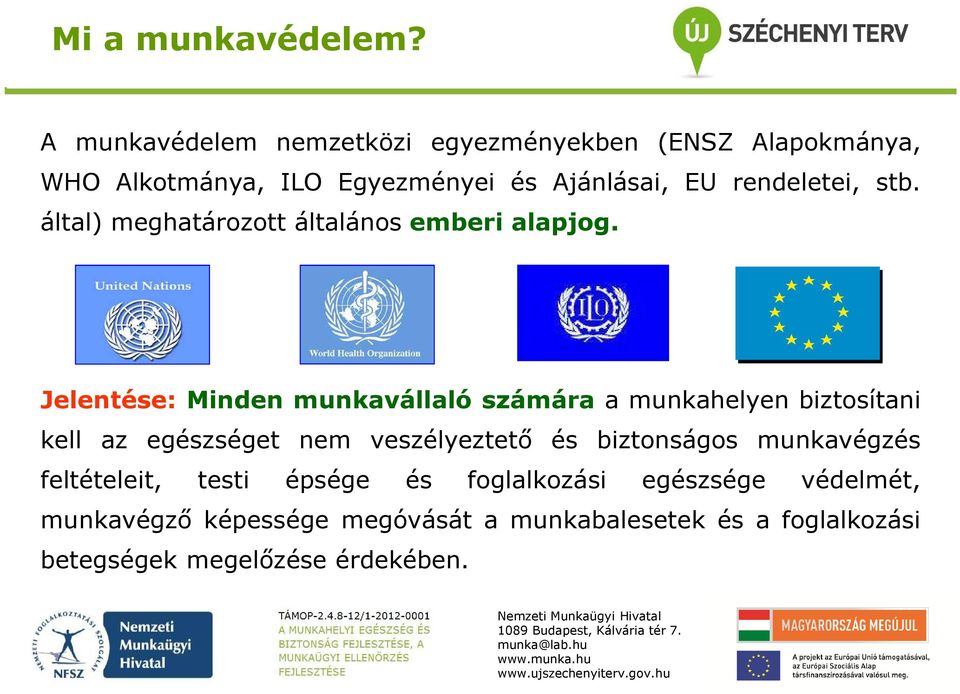 stb. által) meghatározott általános emberi alapjog.