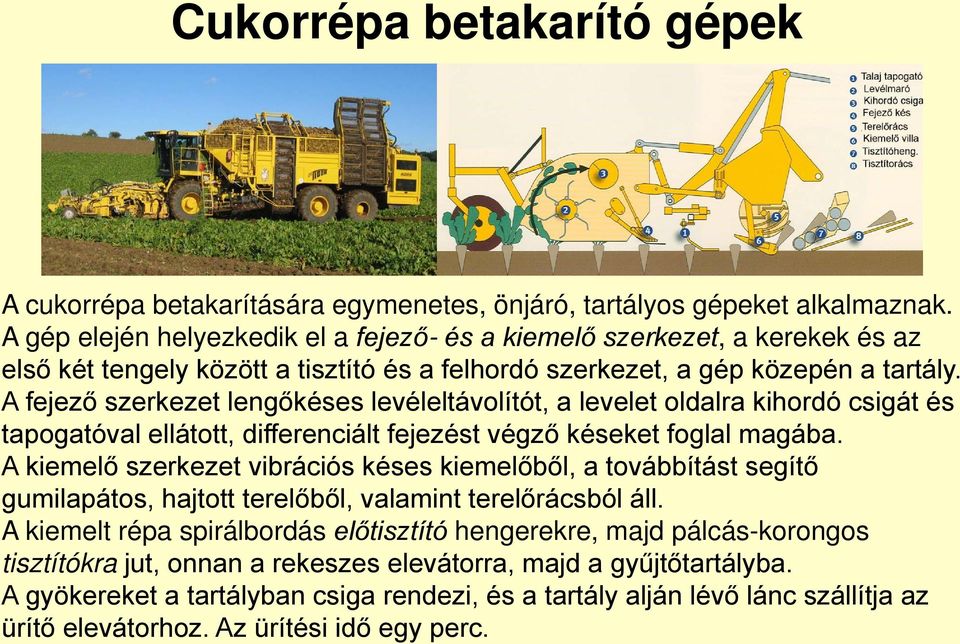 A fejező szerkezet lengőkéses levéleltávolítót, a levelet oldalra kihordó csigát és tapogatóval ellátott, differenciált fejezést végző késeket foglal magába.