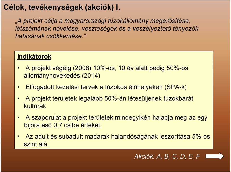 Indikátorok A projekt végéig (2008) 10%-os, 10 év alatt pedig 50%-os állománynövekedés (2014) Elfogadott kezelési tervek a túzokos élőhelyeken