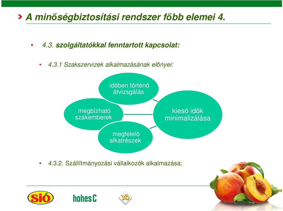 1 Szakszervizek alkalmazásának elınyei: idıben történı átvizsgálás