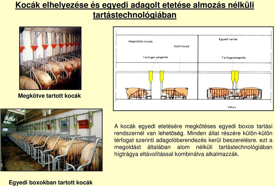 Minden állat részére külön-külön térfogat szerinti adagolóberendezés kerül beszerelésre.