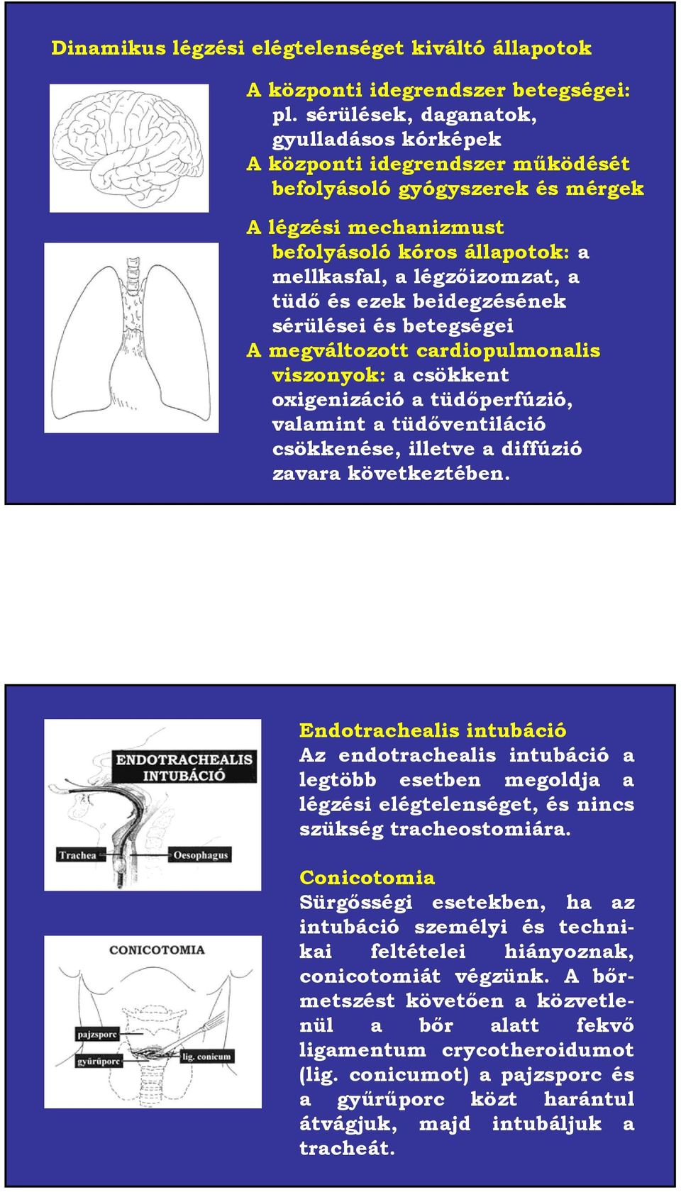 és ezek beidegzésének sérülései és betegségei A megváltozott cardiopulmonalis viszonyok: a csökkent oxigenizáció a tüdőperfúzió, valamint a tüdőventiláció csökkenése, illetve a diffúzió zavara