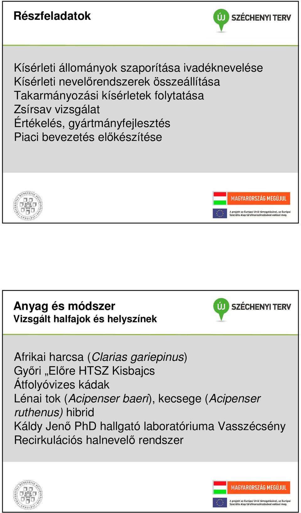 Vizsgált halfajok és helyszínek Afrikai harcsa (Clarias gariepinus) Győri Előre HTSZ Kisbajcs Átfolyóvizes kádak Lénai tok