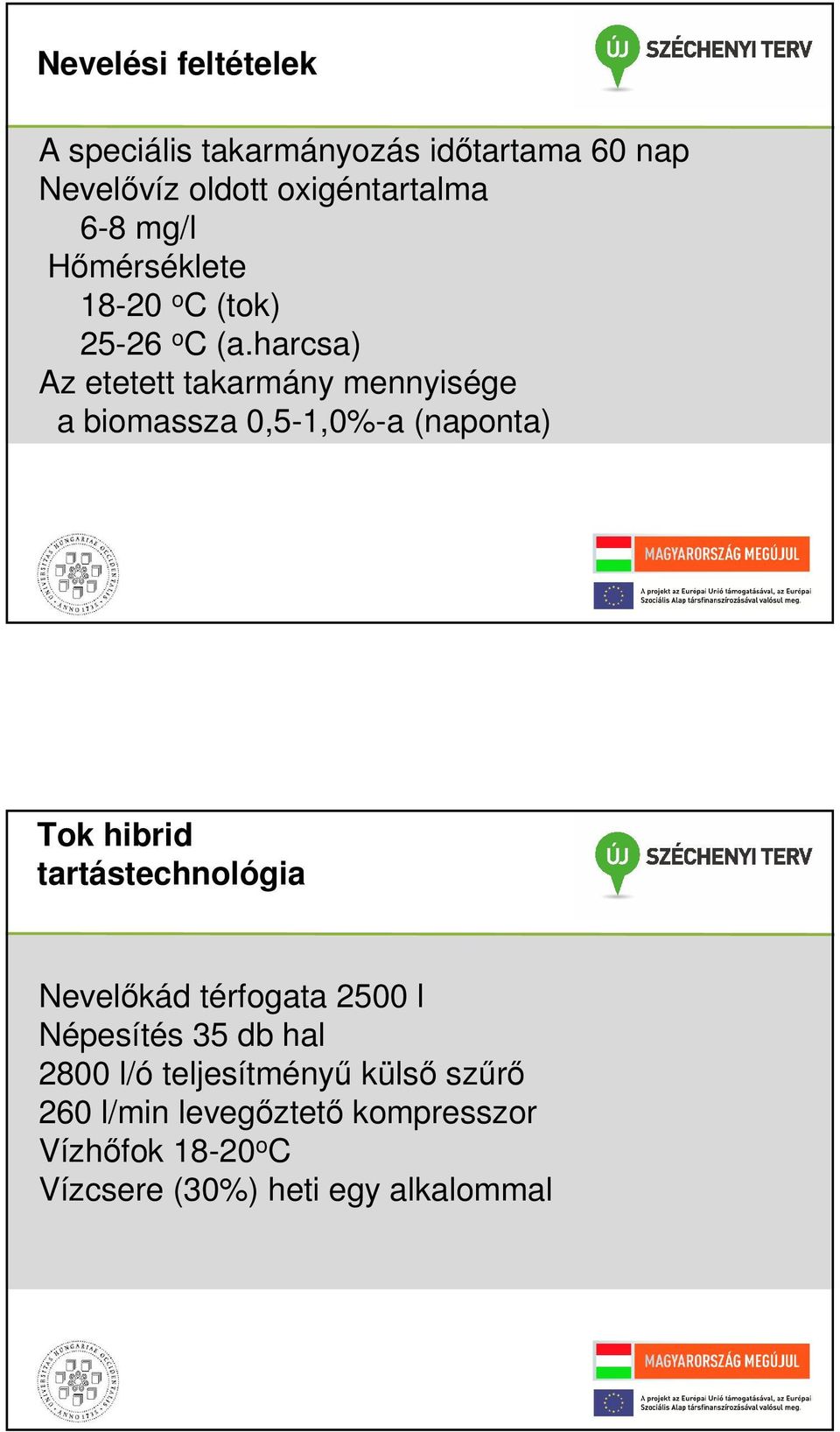 harcsa) Az etetett takarmány mennyisége a biomassza 0,5-1,0%-a (naponta) Tok hibrid tartástechnológia