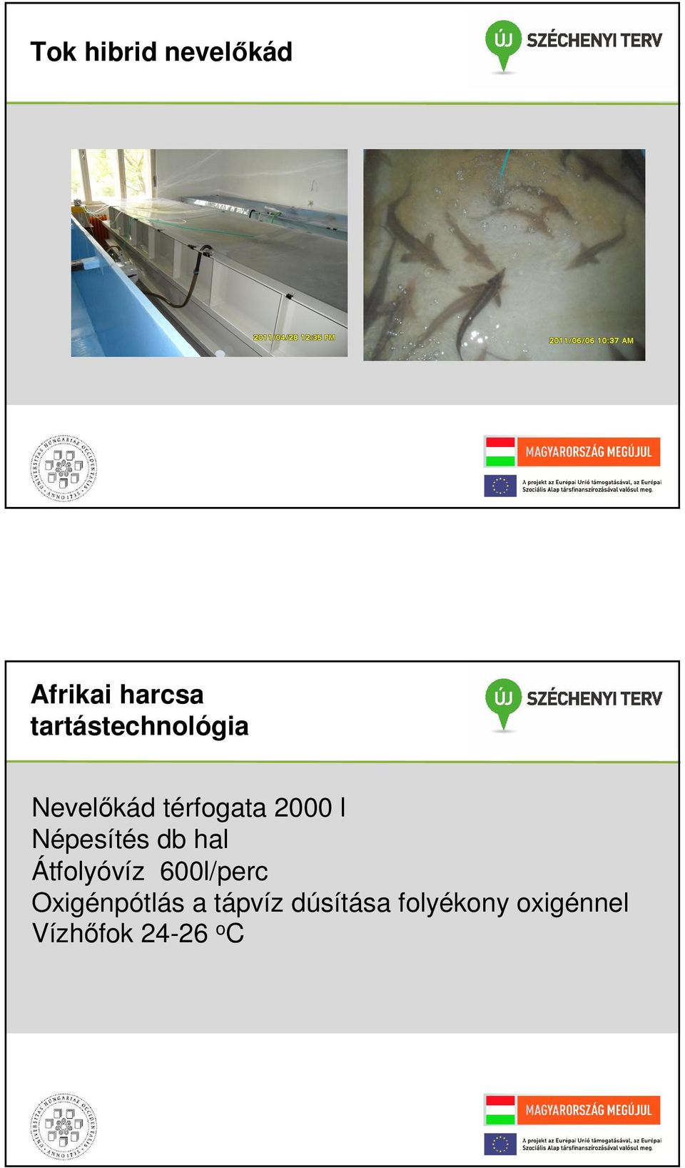 Népesítés db hal Átfolyóvíz 600l/perc