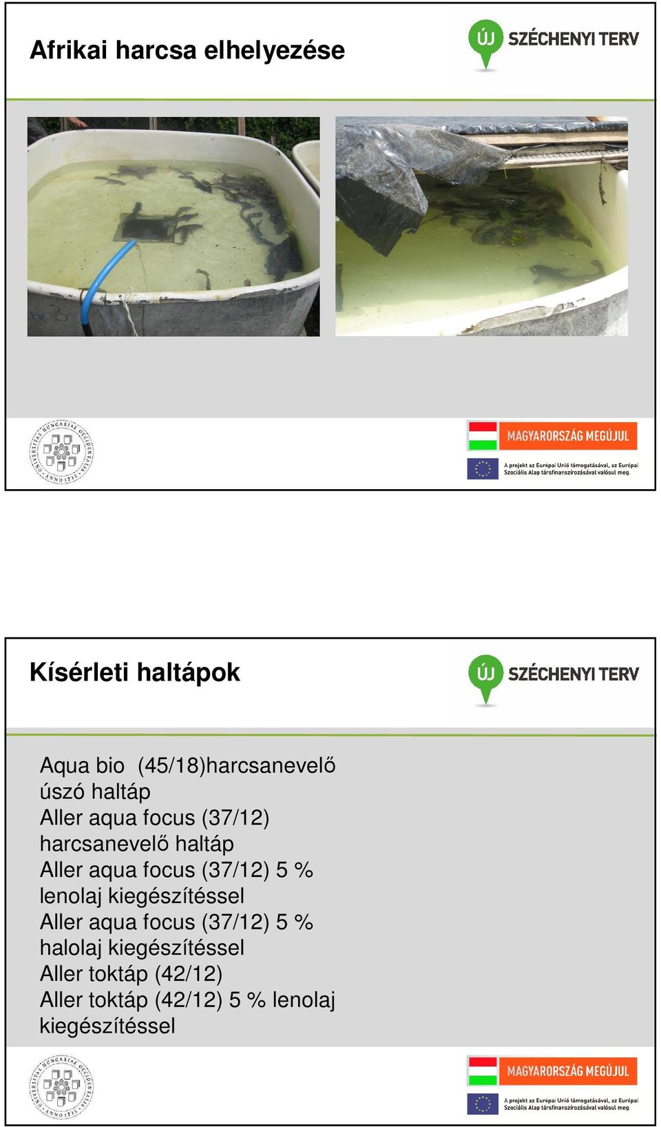(37/12) 5 % lenolaj kiegészítéssel Aller aqua focus (37/12) 5 % halolaj