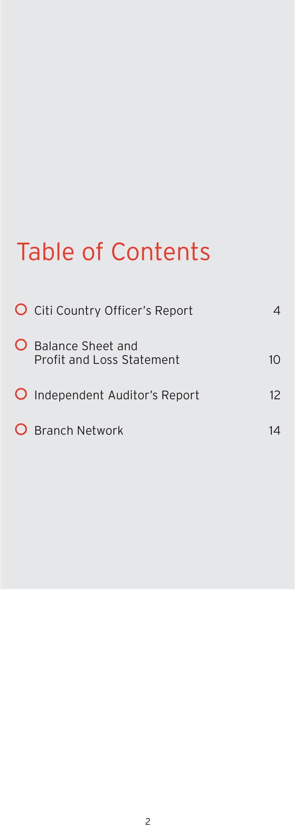 Profit and Loss Statement 10
