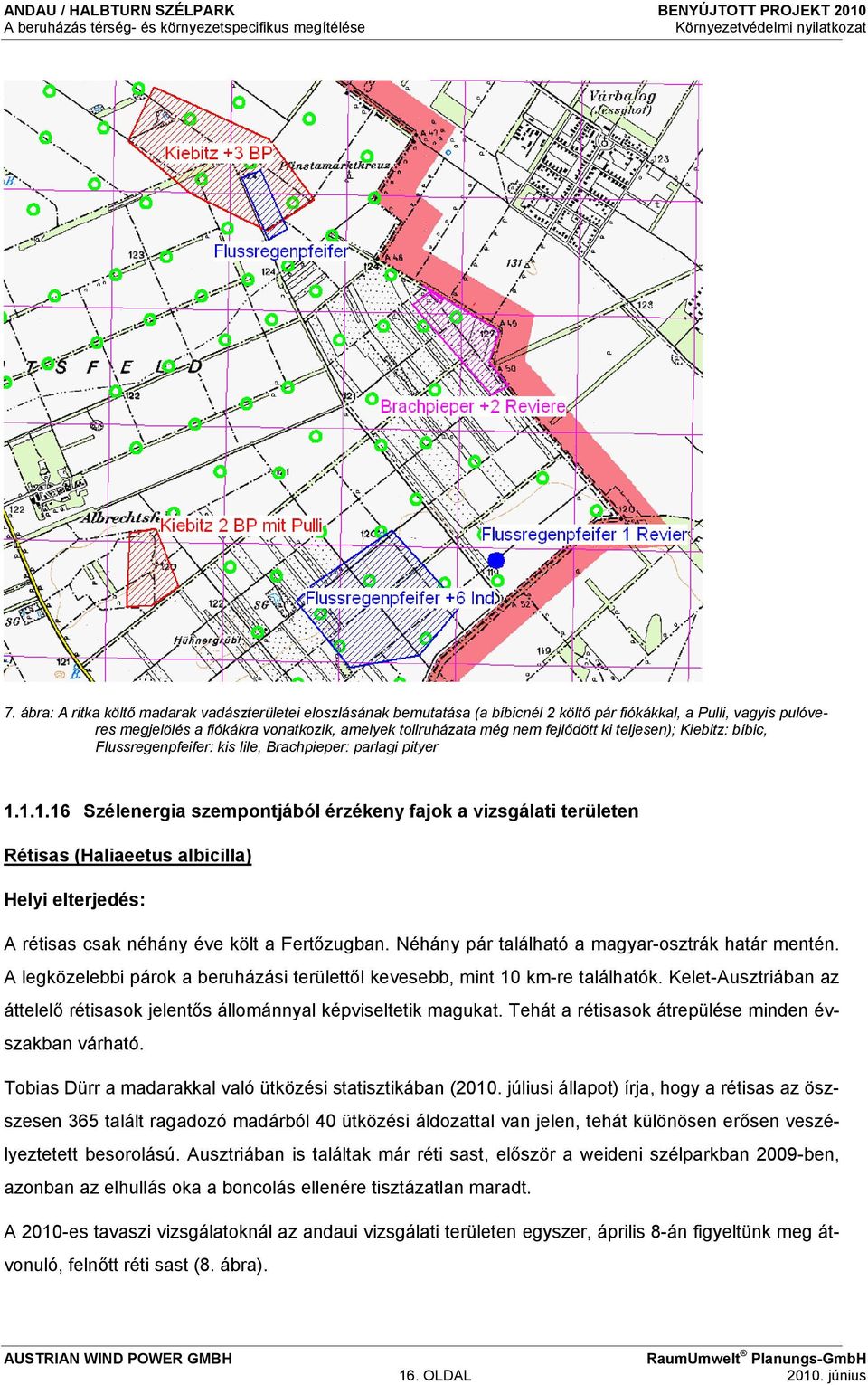 1.1.16 Szélenergia szempontjából érzékeny fajok a vizsgálati területen Rétisas (Haliaeetus albicilla) Helyi elterjedés: A rétisas csak néhány éve költ a Fertőzugban.