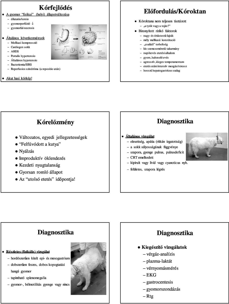 Gastro-oesophagealis oesophagealis sphincter. tanszékvezető egyetemi  docens. előemésztés, keverés - PDF Ingyenes letöltés