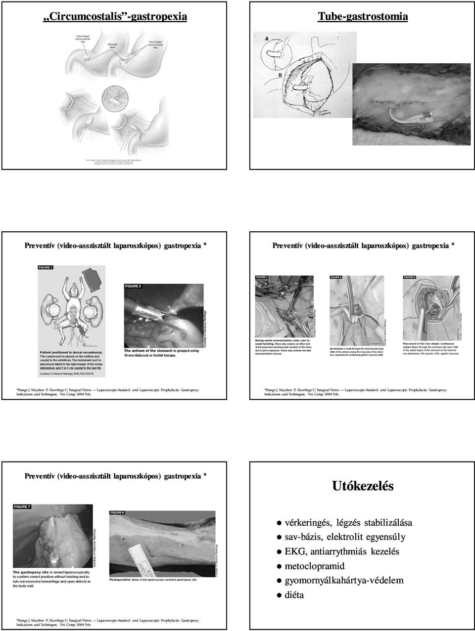 Vet Comp 2009 Feb, *RungeJ, Mayhew P, RawlingsC: Surgical  Vet Comp 2009 Feb, Preventív (video-asszisztált laparoszkópos) gastropexia* Utókezelés vérkeringés, légzés stabilizálása sav-bázis,