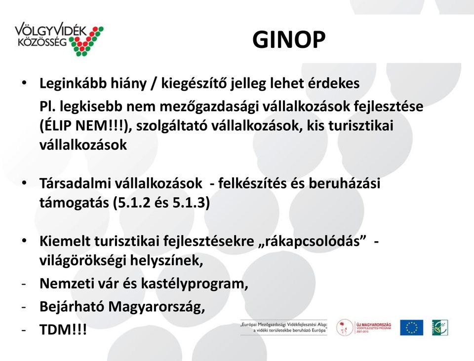 !!), szolgáltató vállalkozások, kis turisztikai vállalkozások Társadalmi vállalkozások - felkészítés