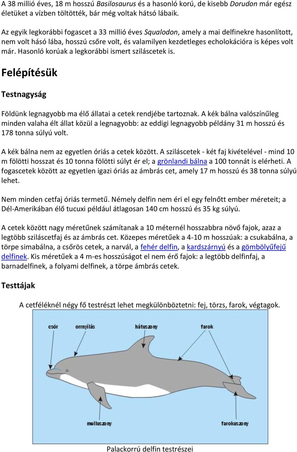 Hasonló korúak a legkorábbi ismert sziláscetek is. Felépítésük Testnagyság Földünk legnagyobb ma élő állatai a cetek rendjébe tartoznak.