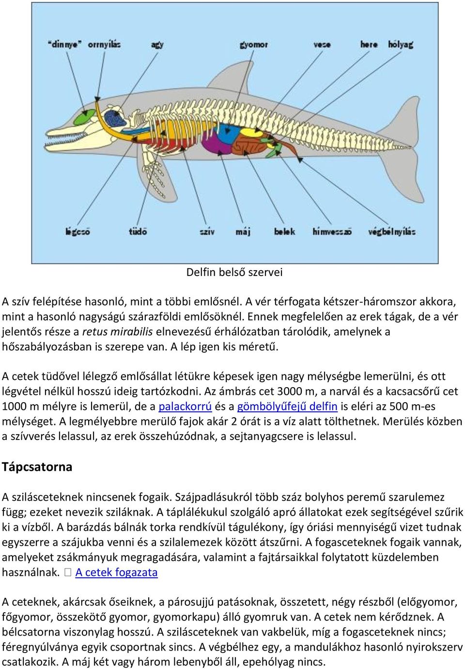 A cetek tüdővel lélegző emlősállat létükre képesek igen nagy mélységbe lemerülni, és ott légvétel nélkül hosszú ideig tartózkodni.