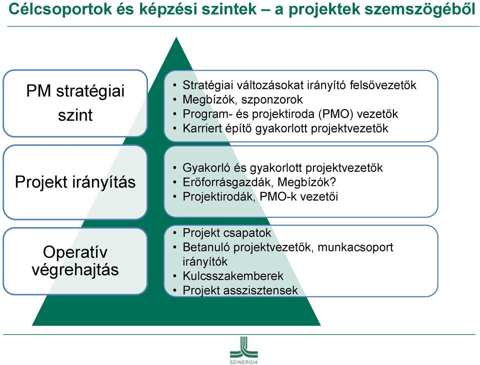 Projekt irányítás Operatív végrehajtás Gyakorló és gyakorlott projektvezetők Erőforrásgazdák, Megbízók?