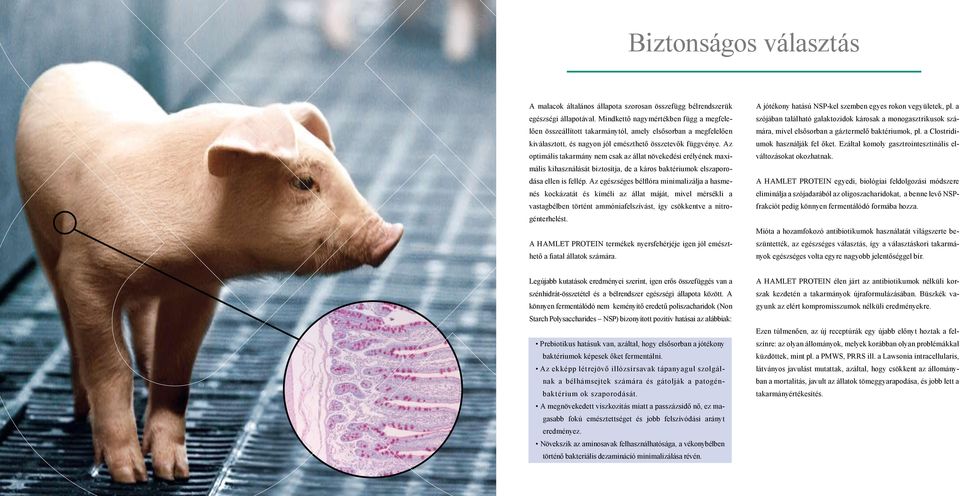 Az optimális takarmány nem csak az állat növekedési erélyének maximális kihasználását biztosítja, de a káros baktériumok elszaporodása ellen is fellép.