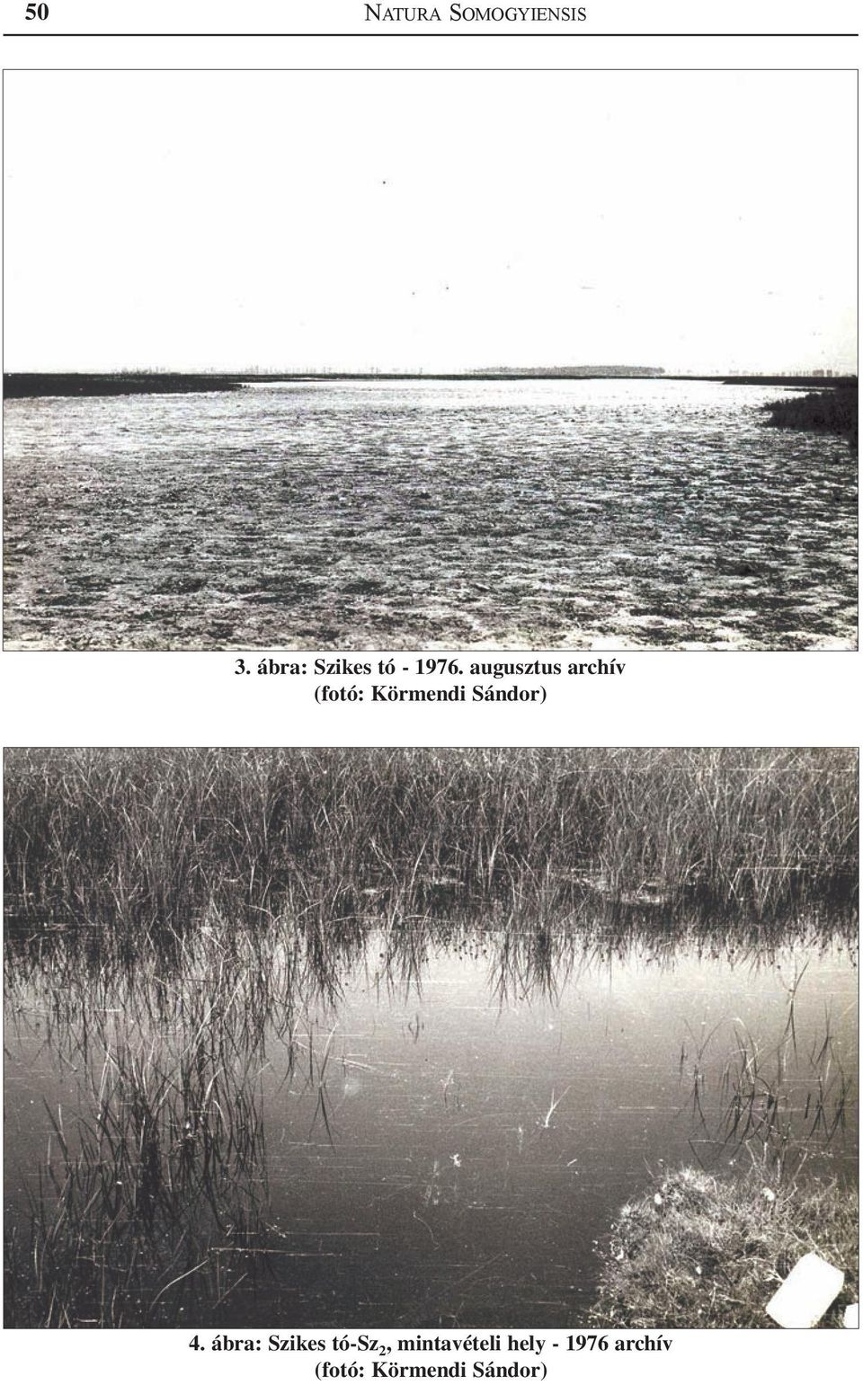 augusztus archív 4.