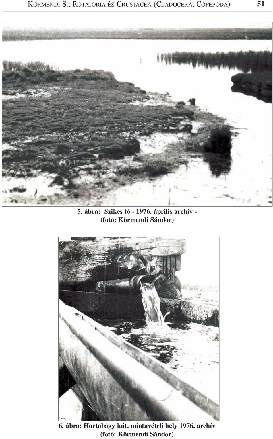 Copepoda) 51 5. ábra: Szikes tó - 1976.