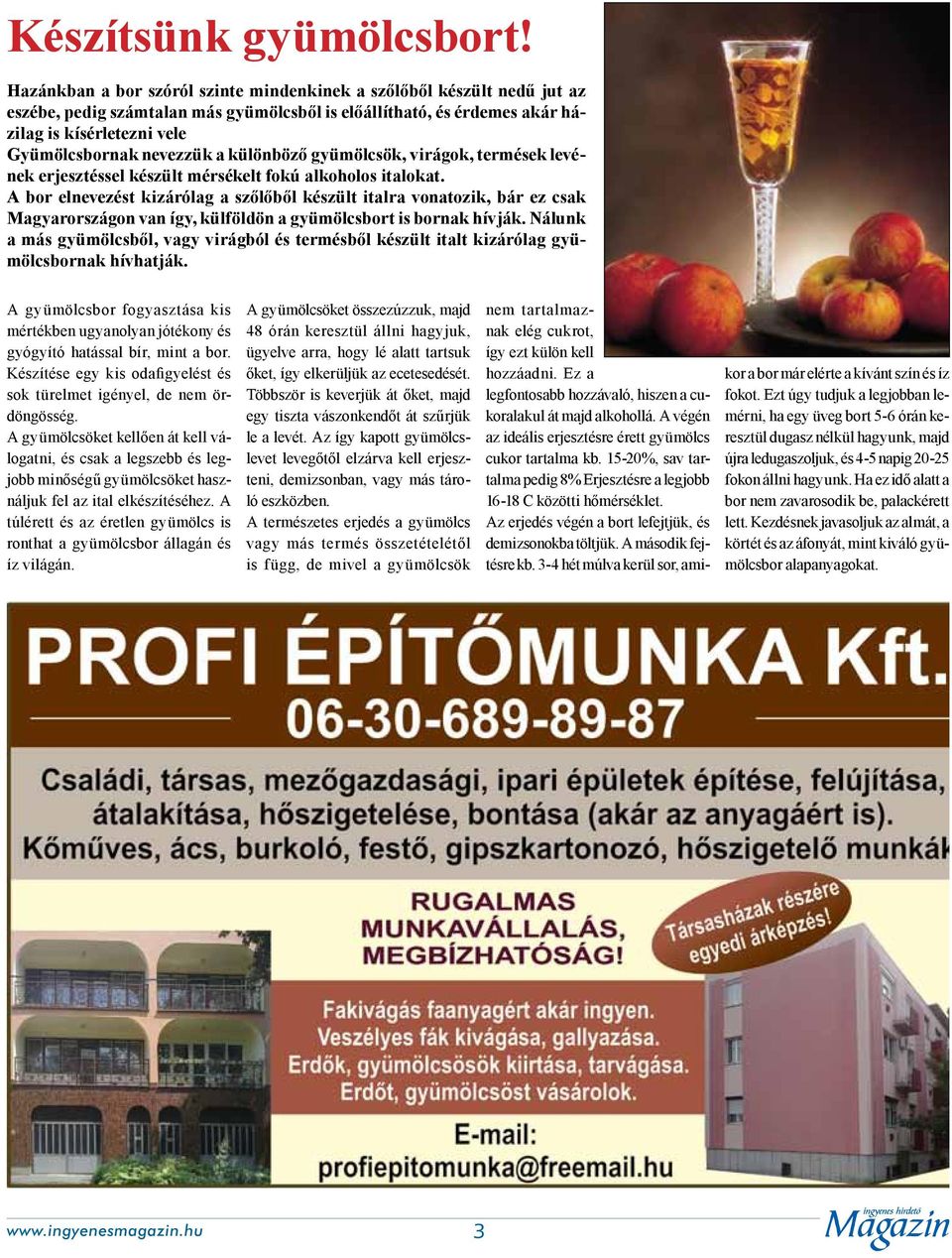 a különböző gyümölcsök, virágok, termések levének erjesztéssel készült mérsékelt fokú alkoholos italokat.