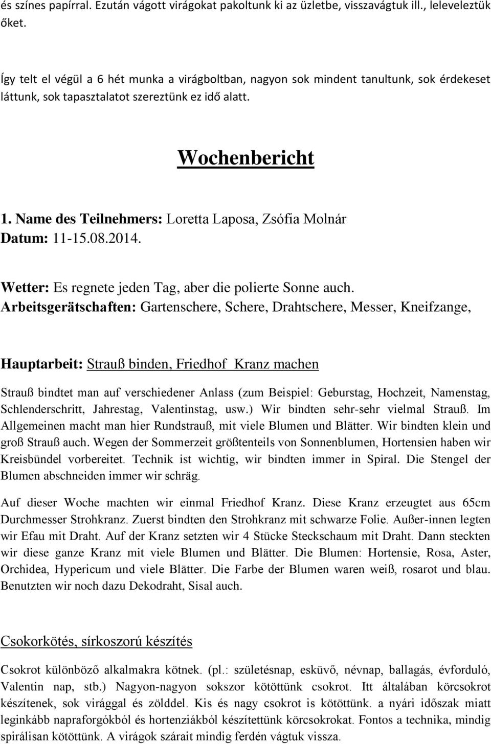 Name des Teilnehmers: Loretta Laposa, Zsófia Molnár Datum: 11-15.08.2014. Wetter: Es regnete jeden Tag, aber die polierte Sonne auch.