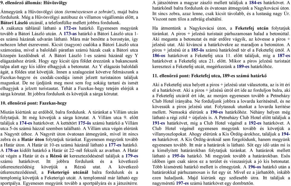 Egyenesen megyünk tovább a Bátori László utcán. A 173-as határkő a Bátori László utca 1- es számú házának udvarán látható. Mára már benőtte a borostyán, így nehezen lehet észrevenni.