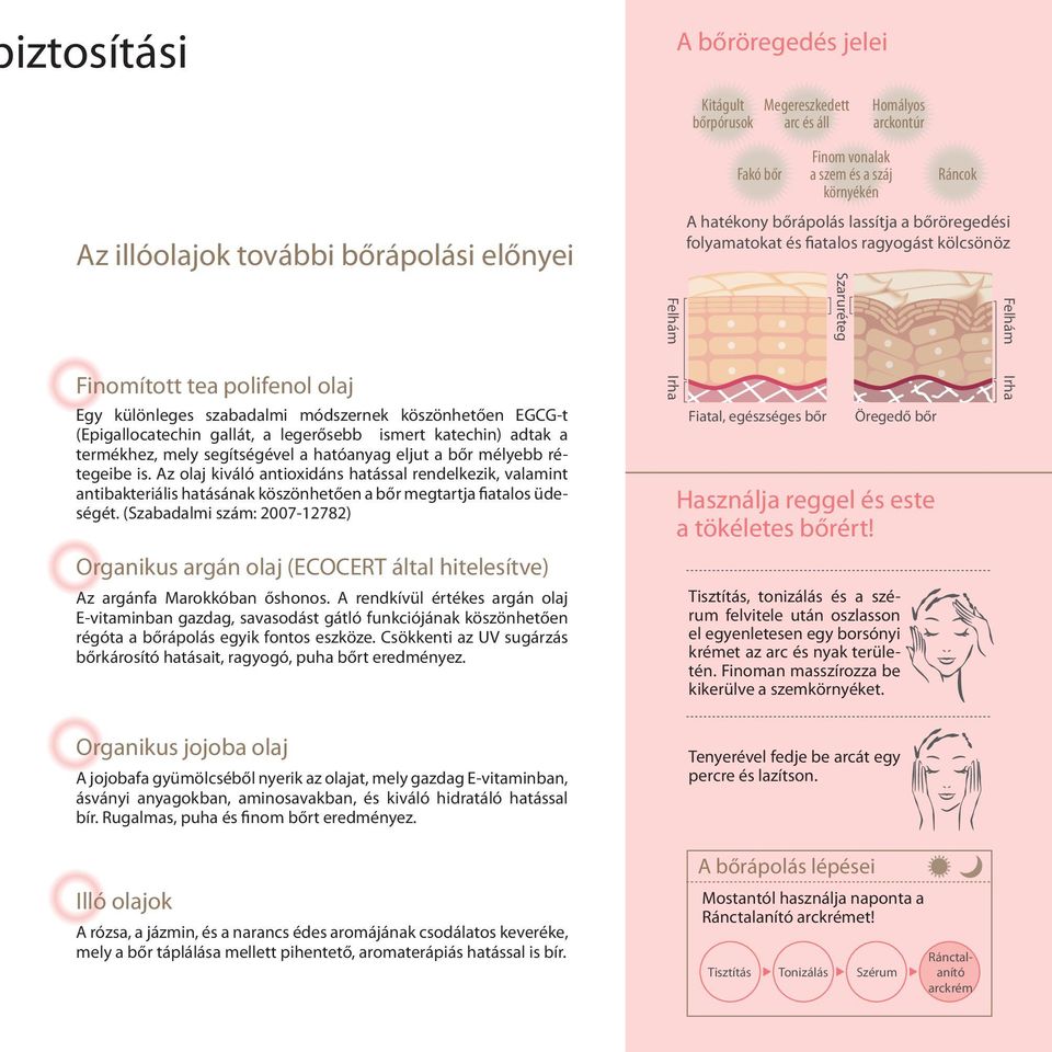 EGCG-t (Epigallocatechin gallát, a legerősebb ismert katechin) adtak a termékhez, mely segítségével a hatóanyag eljut a bőr mélyebb rétegeibe is.