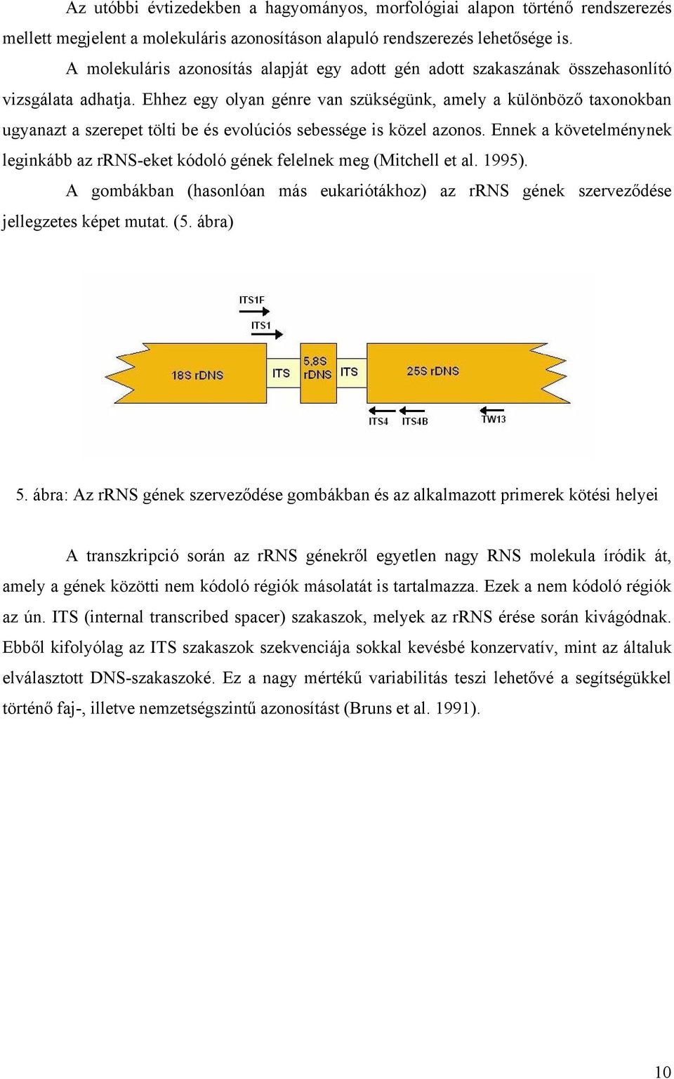 Ehhez egy olyan génre van szükségünk, amely a különböző taxonokban ugyanazt a szerepet tölti be és evolúciós sebessége is közel azonos.
