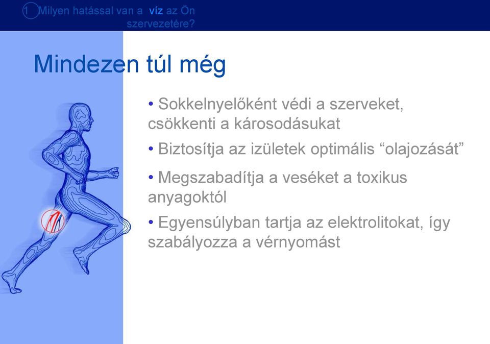 károsodásukat Biztosítja az izületek optimális olajozását