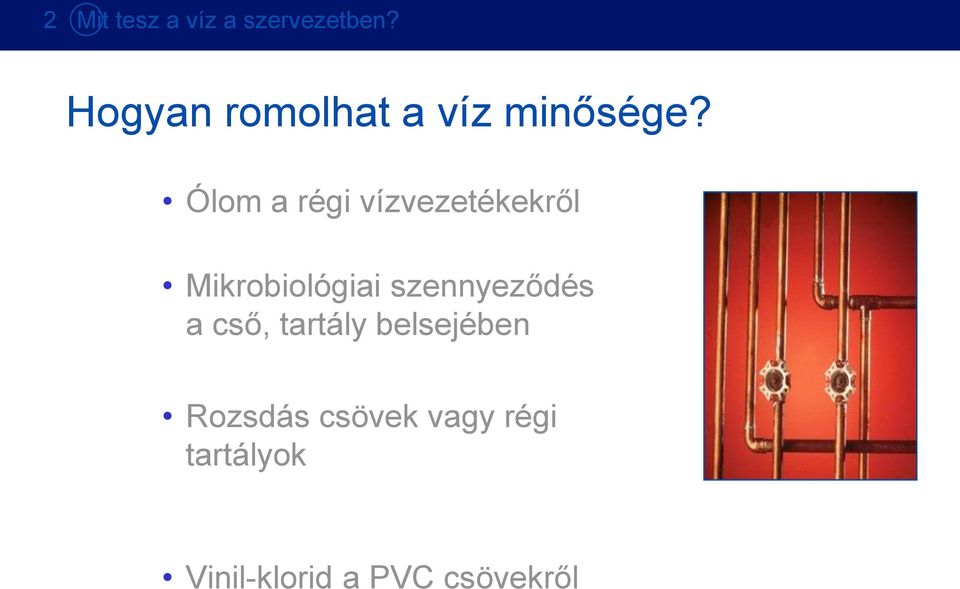 Ólom a régi vízvezetékekről Mikrobiológiai