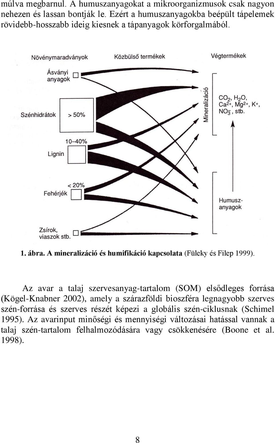 A mineralizáció és humifikáció kapcsolata (Füleky és Filep 1999).