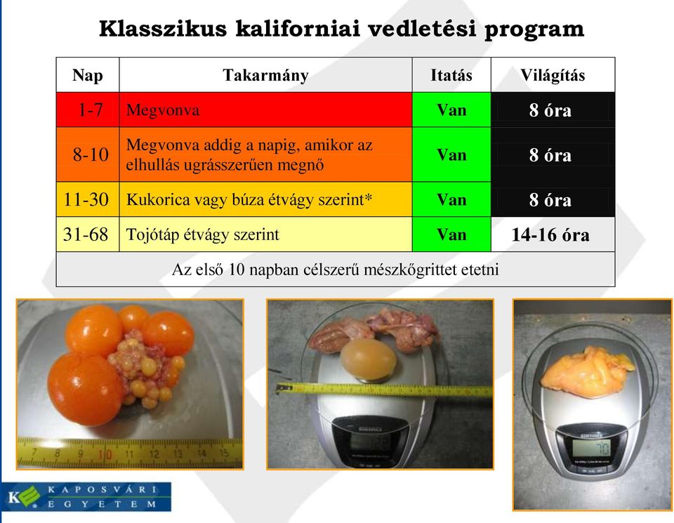 ugrásszerűen megnő Van 8 óra 11-30 Kukorica vagy búza étvágy szerint* Van 8