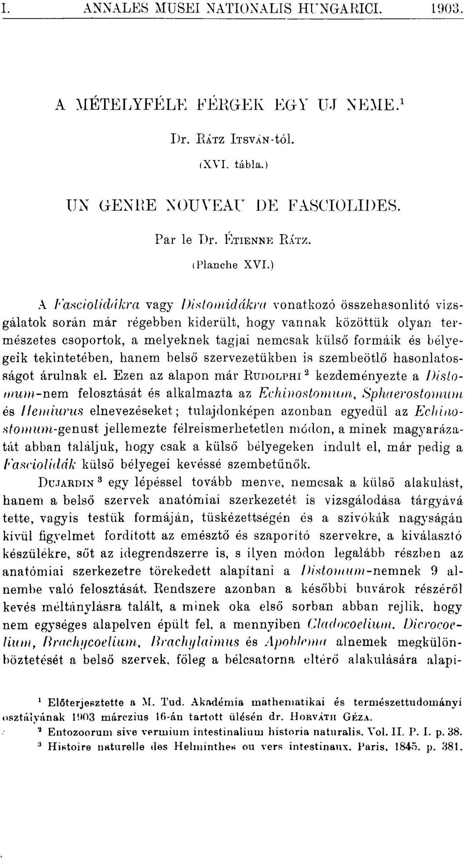 bélyegeik tekintetében, hanem belső szervezetükben is szembeötlő hasonlatosságot árulnak el.